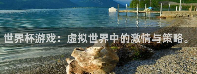 世界杯葡萄牙赛程:世界杯游戏:虚拟世界中的激情与策略。