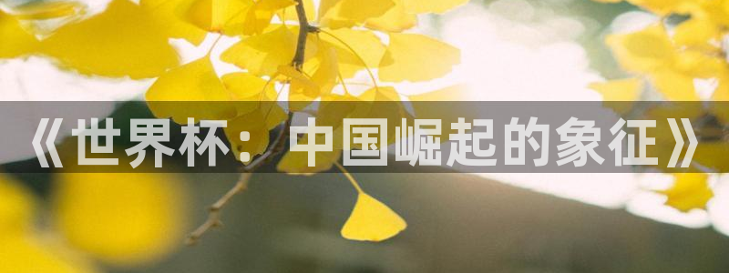 世界杯亚洲区预选赛赛程表:《世界杯:中国崛起的象征》