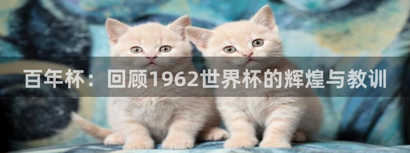 世界杯决赛预测:百年杯:回顾1962世界杯的辉煌与教训