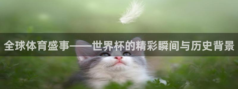 2026年男足世界杯:全球体育盛事——世界杯的精彩瞬间与历史背景