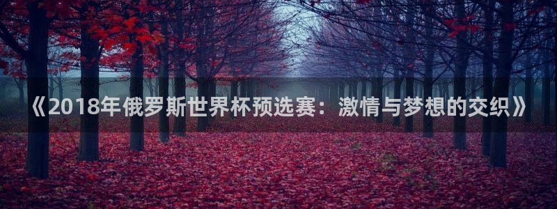 世界杯直播观看:《2018年俄罗斯世界杯预选赛:激情与梦想的交织》