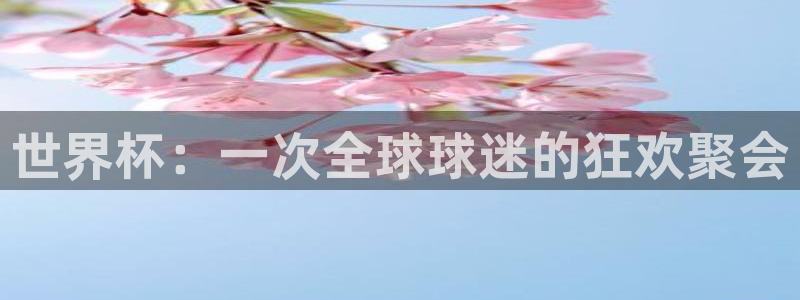 世界杯欧洲预选赛:世界杯:一次全球球迷的狂欢聚会