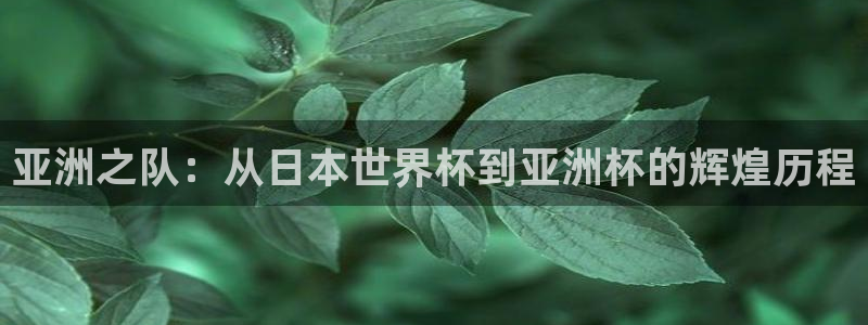 世界杯亚洲区预选赛:亚洲之队:从日本世界杯到亚洲杯的辉煌历程