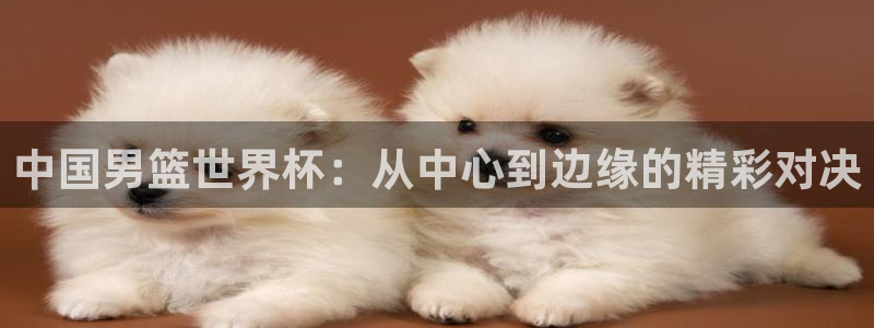 世界杯决赛圈球队:中国男篮世界杯:从中心到边缘的精彩对决